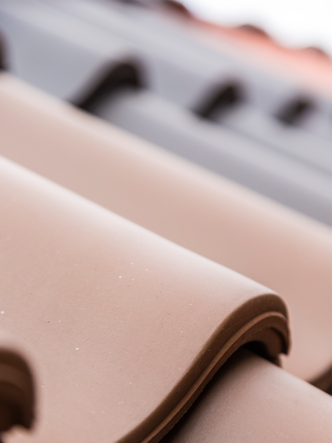 Close-up of various roof tiles covered